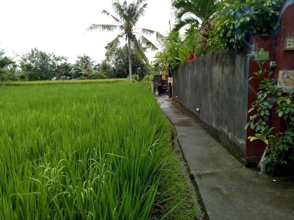 Villa Esa Ubud Kültér fotó
